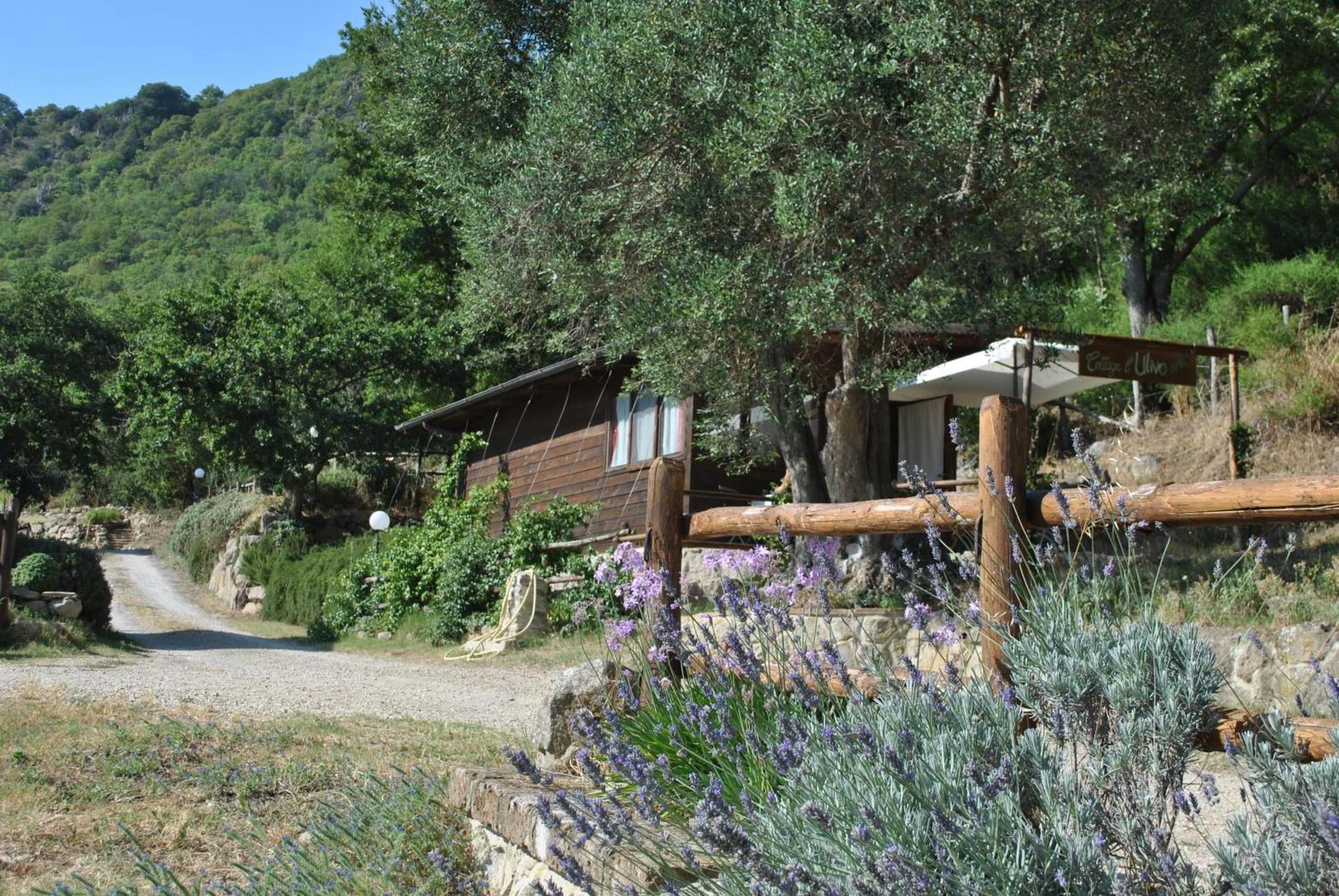 Azienda Agricola Biologica La Cardellina Tolfa Exterior photo