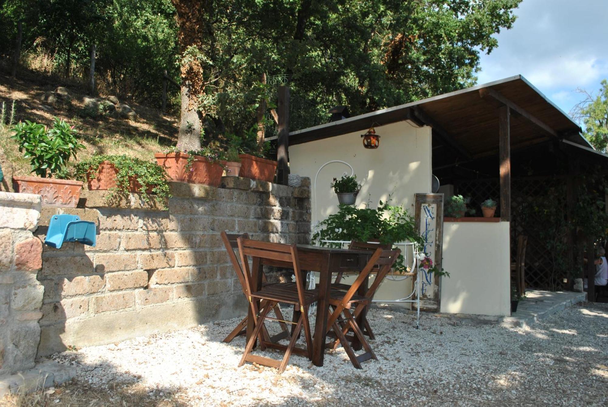 Azienda Agricola Biologica La Cardellina Tolfa Exterior photo