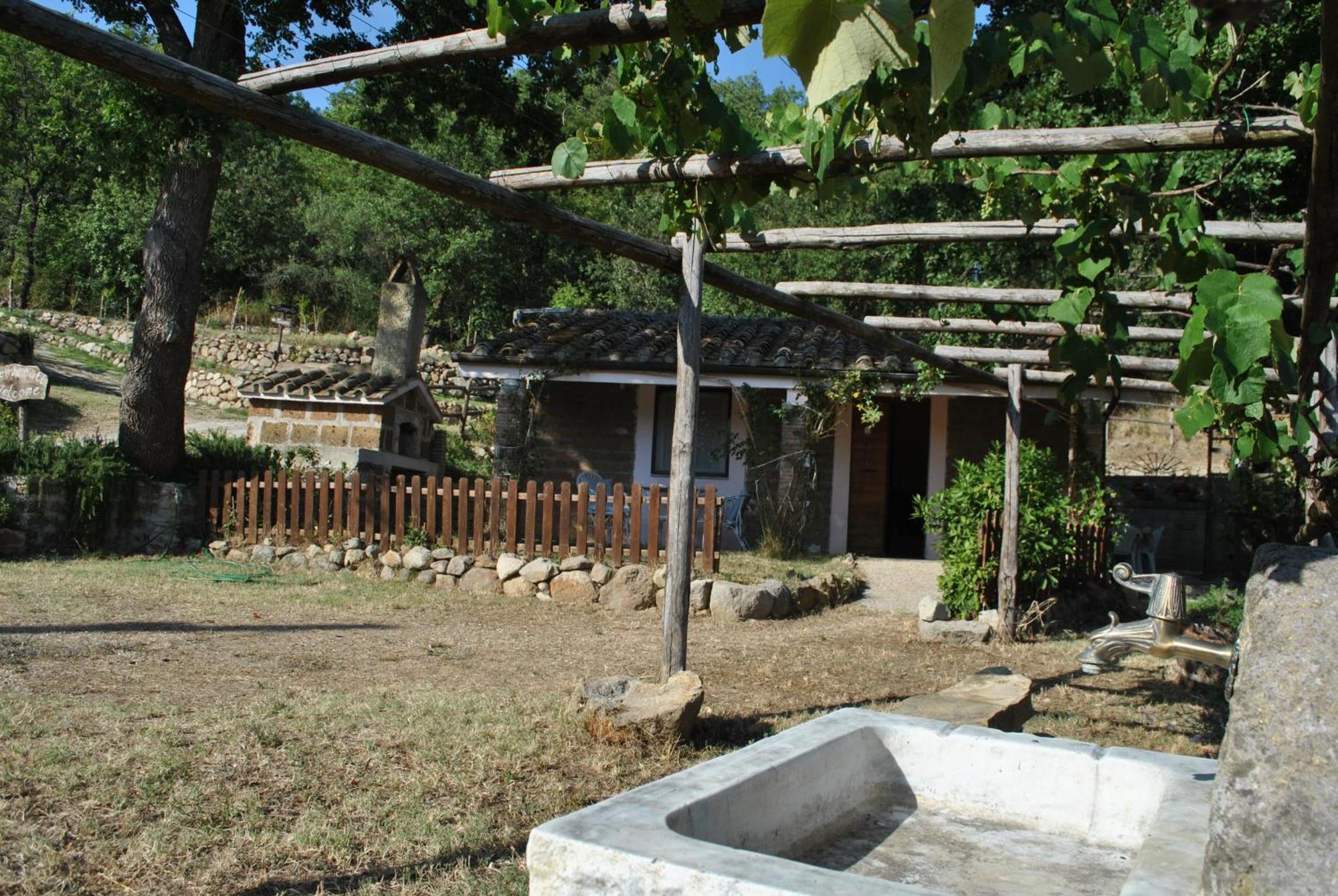 Azienda Agricola Biologica La Cardellina Tolfa Exterior photo